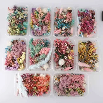 1 Kutija Mix suhog cvijeća za Nakit od Smole Suhe Biljke Prešani Cvijeće Izrada Obrt suhog cvijeća Kutija za DIY Silikonska Forma
