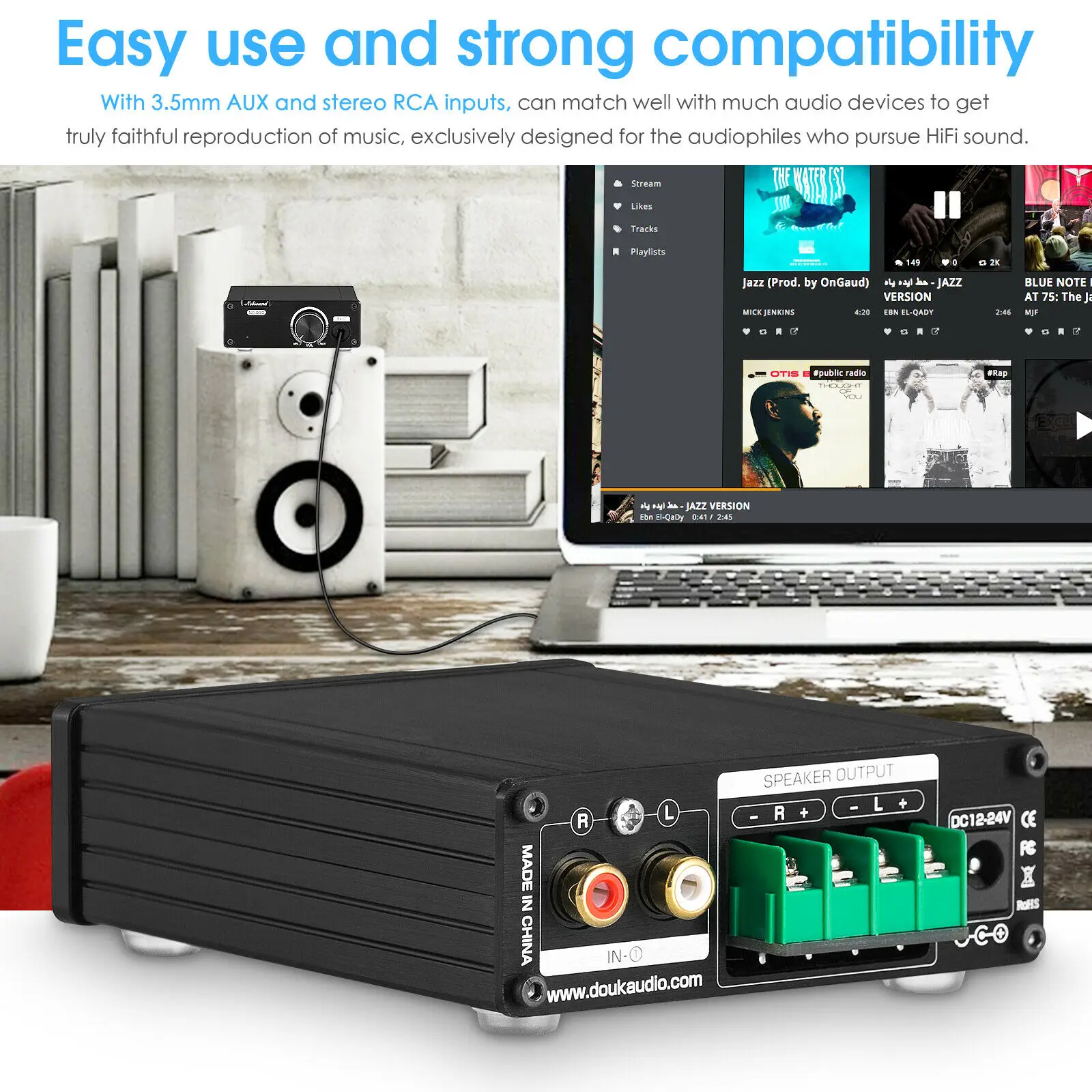 Douk Audio Mini TPA3116D2 Digitalno Pojačalo Hi-Fi Stereo Klase D Home Audio Pojačalo Snage 100 W + 100 W Slika 3